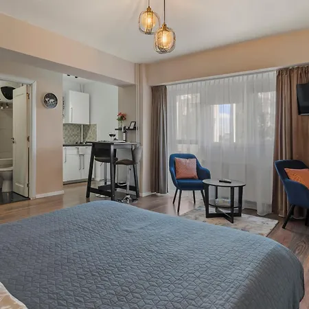 Ingrid Piata Victoriei Apartmán